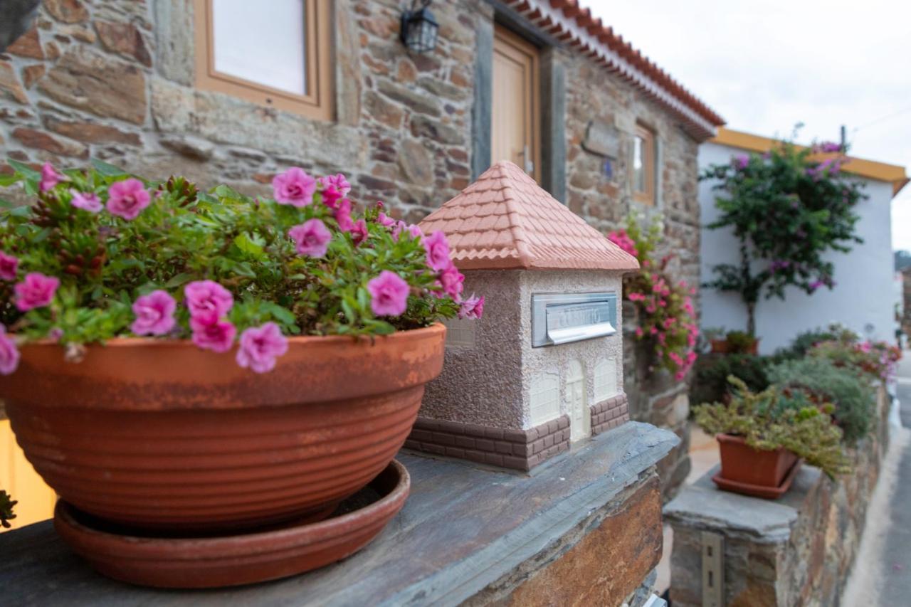 Maison d'hôtes O Palheiro - Vista Panorâmica e Jacuzzi à Sobreira Formosa Extérieur photo